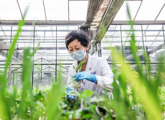 ÖúÁ¦Å©Òµ·áÊÕ