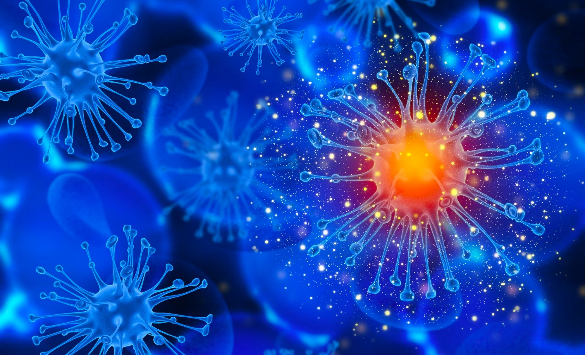 首页| w66集团中国最老牌官方网站