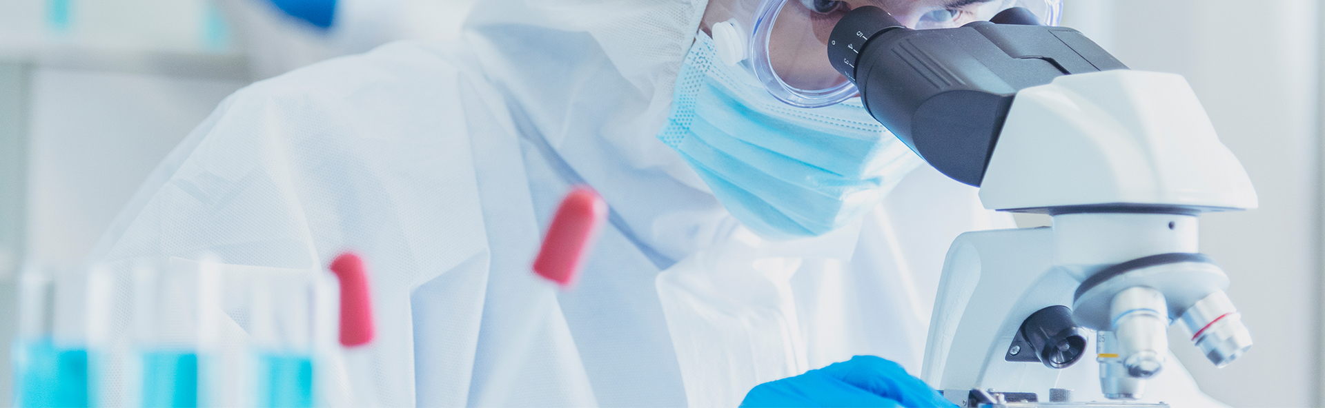 首页| w66集团中国最老牌官方网站