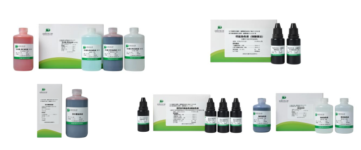 首页| w66集团中国最老牌官方网站