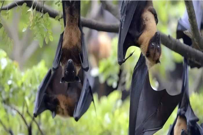 首页| w66集团中国最老牌官方网站